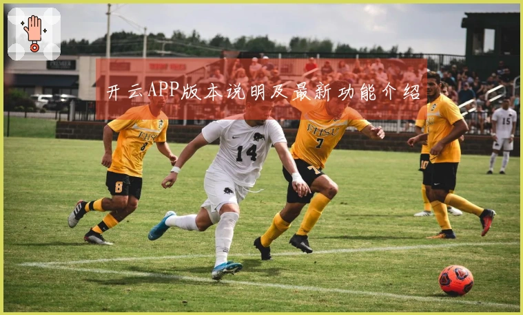 开云APP版本说明及最新功能介绍