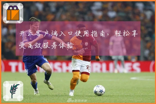 开云客户端入口使用指南，轻松享受高效服务体验