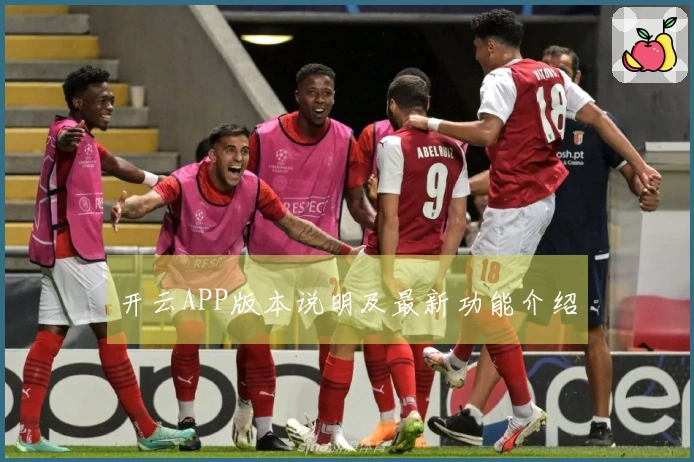 开云APP版本说明及最新功能介绍