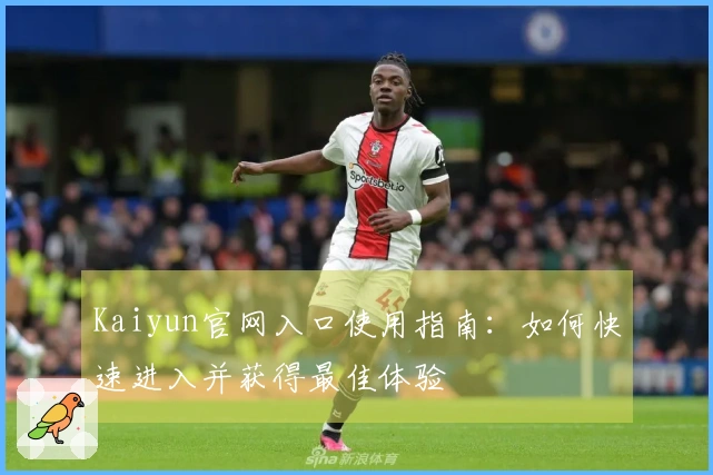 Kaiyun官网入口使用指南：如何快速进入并获得最佳体验