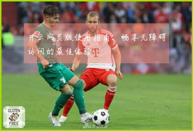 开云网页版使用指南：畅享无障碍访问的最佳体验